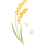 ライスイメージイラスト